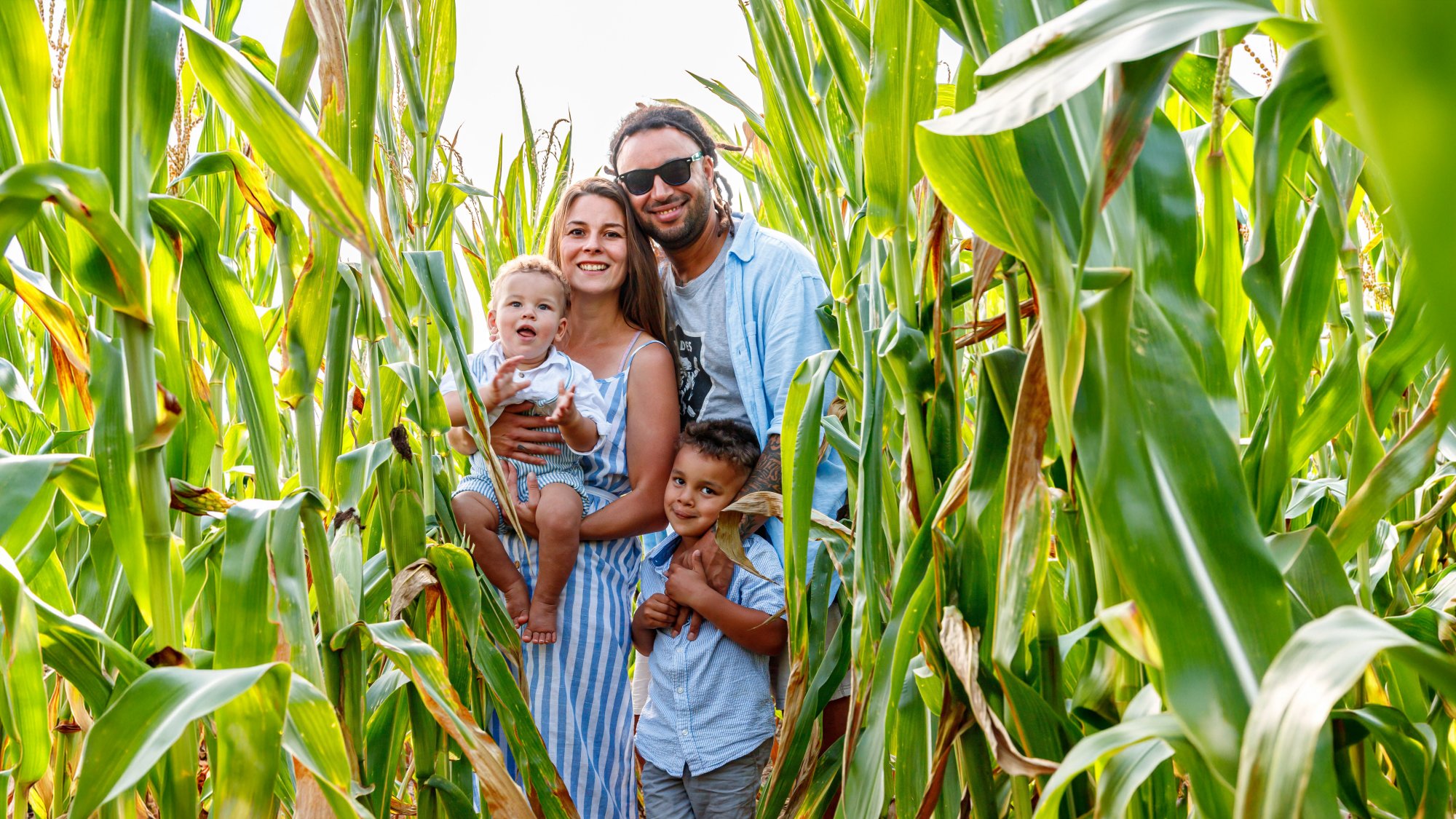 Familienfotograf Hannover – Familie im Kornfeld