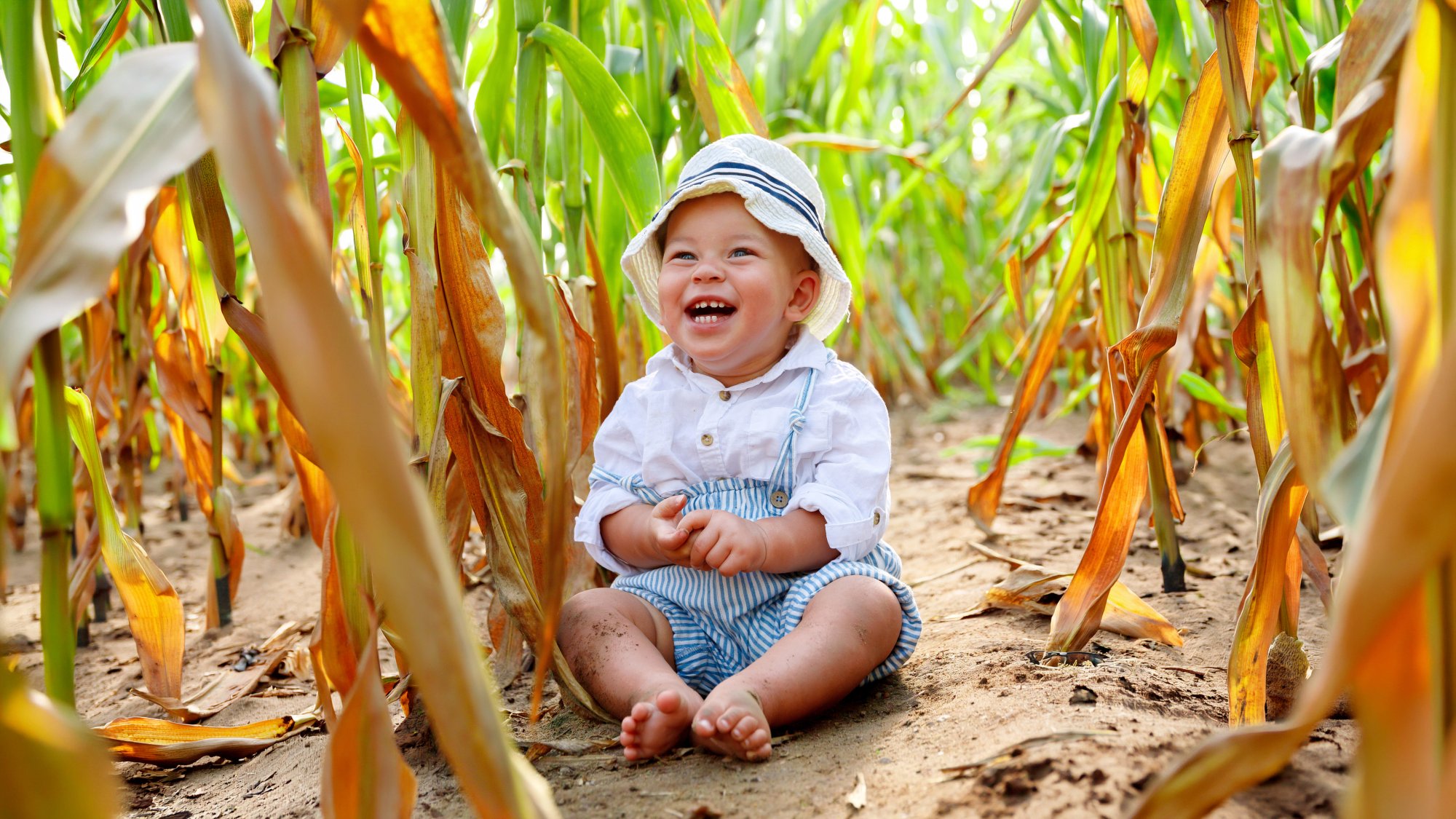 Kinderfotografie Hannover – lachendes Kind im Kornfeld
